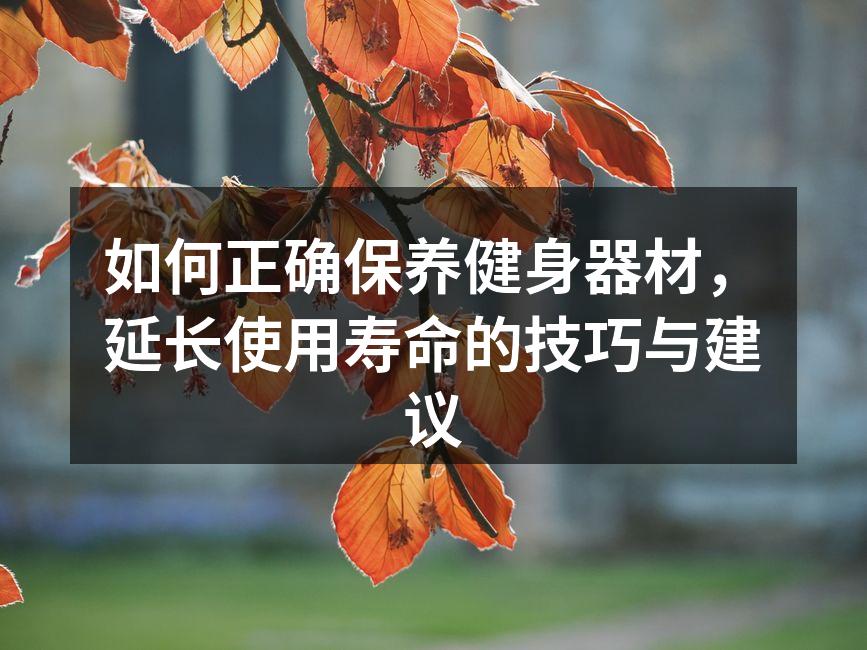 如何正确保养健身器材，延长使用寿命的技巧与建议